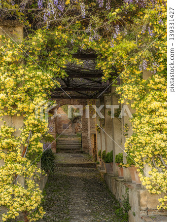 Stone Archway Covered in Yellow Flowers and Wisteria Over a Cobblestone Garden Path, Alhambra Gardens, Granada Stone Archway Covered in Yellow Flowers and Wisteria Over a Cobblestone Garden Path, Alhambra Gardens, Granada 139331427