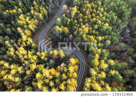 Blue Ridge Parkway in autumn. Mountain pass road between dense woods in seasonal colors in North Carolina 139331460