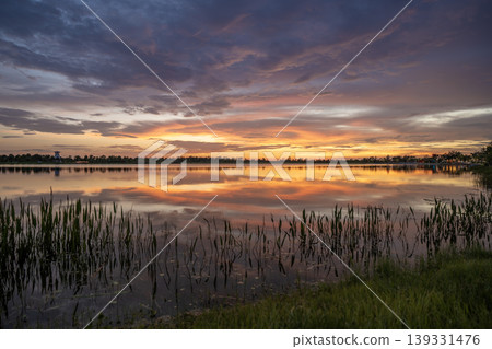 Beautiful nature landscape at sunset. Lake wildlife in Wellen park in Venice, Florida 139331476