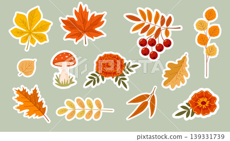 Autumn sticker set. Collection of autumn tree leaves, pumpkins, flowers, berries and mushrooms. Cute autumn holiday elements Autumn sticker set. Collection of autumn tree leaves, pumpkins, flowers, berries and mushrooms. Cute autumn holiday elements 139331739