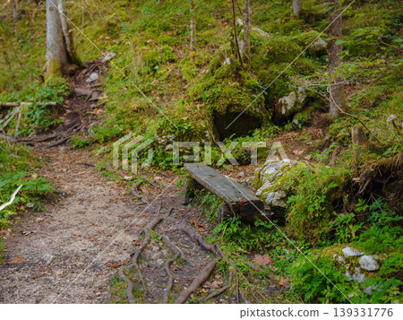 Europe summer travel to Slovenian Alps, Izvir Kamniske Bistrice walk or hike in forest near mountains river Europe summer travel to Slovenian Alps, Izvir Kamniske Bistrice walk or hike in forest near mountains river 139331776