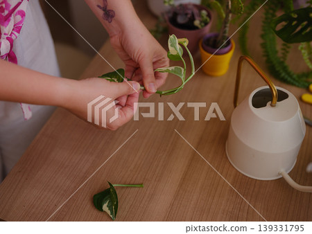 Young woman with beautiful houseplant in pot at home. Concept Taking care of my plants Young woman with beautiful houseplant in pot at home. Concept Taking care of my plants 139331795