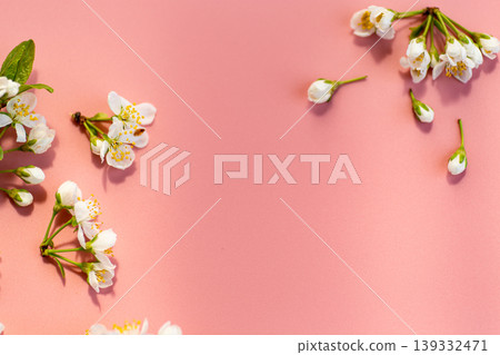 delicate white spring blossoms on soft pink pastel background 139332471