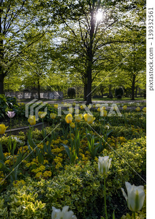 Flower display in Regents park in London Flower display in Regents park in London 139332561