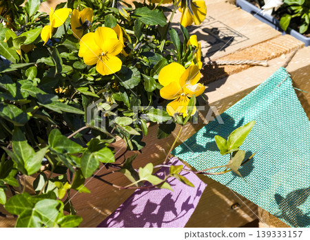 Yellow pansies with colorful bunting in a wooden planter, adding garden decor and bright seasonal accents. Yellow pansies with colorful bunting in a wooden planter, adding garden decor and bright seasonal accents. 139333157