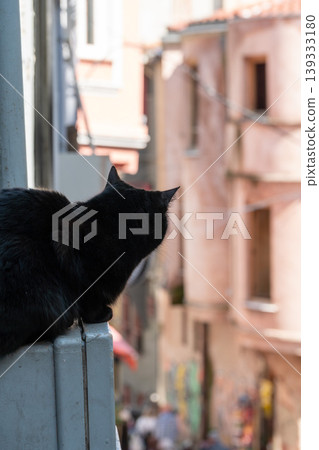 Black cat sits on windowsill looking down at narrow street with blurred buildings in warm tones, shallow depth of field urban scene. Urban lifestyle, pet behavior, city atmosphere, travel content Black cat sits on windowsill looking down at narrow street with blurred buildings in warm tones, shallow depth of field urban scene. Urban lifestyle, pet behavior, city atmosphere, travel content 139333180