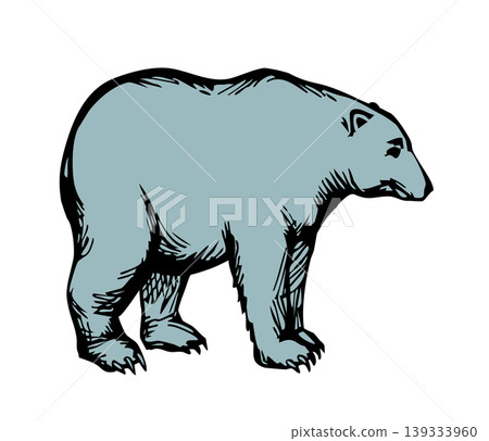 Vector drawing. Big polar bear Vector drawing. Big polar bear 139333960