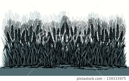 Vector drawing. Old wheat field Vector drawing. Old wheat field 139333975