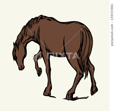 Vector drawing. The horse is walking on the lawn 139333981