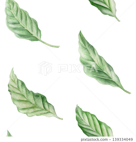 Watercolor coffee leaves seamless pattern. Hand drawn botanical illustration of fresh green foliage. Elegant tropical background for textile, wallpaper and packaging. Isolated on white background. Watercolor coffee leaves seamless pattern. Hand drawn botanical illustration of fresh green foliage. Elegant tropical background for textile, wallpaper and packaging. Isolated on white background. 139334049
