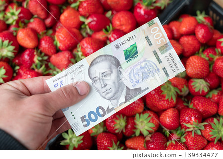 Male hand giving 500 hryvnias banknote to a strawberry seller. Buying strawberry in Ukraine, paying for fresh berries Male hand giving 500 hryvnias banknote to a strawberry seller. Buying strawberry in Ukraine, paying for fresh berries 139334477