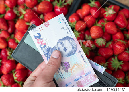 Male hand holding hryvnia banknotes above fresh strawberries in boxes. Ukrainian 200 hryvnia banknote in front of strawberries, ready to buy some berries Male hand holding hryvnia banknotes above fresh strawberries in boxes. Ukrainian 200 hryvnia banknote in front of strawberries, ready to buy some berries 139334481