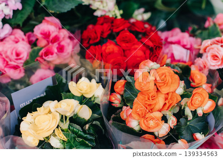 Beautiful colorful Begonia flowers in a Flower shop. Selective focus. Beautiful colorful Begonia flowers in a Flower shop. Selective focus. 139334563
