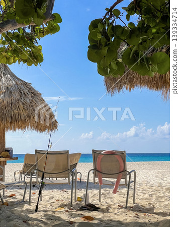 Relaxing tropical Aruba beach scene with lounge chairs, palm shade and clear turquoise sea. Summer vacation, travel destination, leisure, resort lifestyle concept Relaxing tropical Aruba beach scene with lounge chairs, palm shade and clear turquoise sea. Summer vacation, travel destination, leisure, resort lifestyle concept 139334714