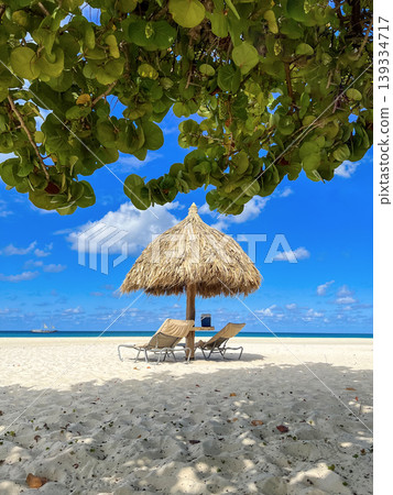 Idyllic tropical Aruba beach with straw umbrella, lounge chairs and turquoise sea framed by green leaves. Perfect summer vacation, travel destination and relaxation concept Idyllic tropical Aruba beach with straw umbrella, lounge chairs and turquoise sea framed by green leaves. Perfect summer vacation, travel destination and relaxation concept 139334717