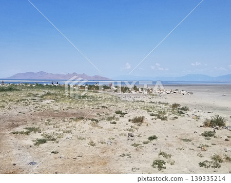 Expansive view of the Great Salt Lake shoreline under a bright blue sky. 139335214