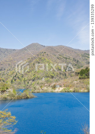 Fresh greenery at Okushima Lake, Nakanojo Town, Gunma Prefecture 139335299