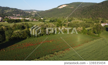 Botticino landscape with a mountain quarry and poppy field Botticino landscape with a mountain quarry and poppy field 139335434