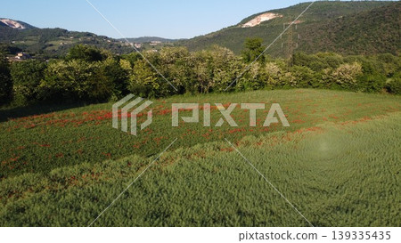 Botticino landscape with a mountain quarry and poppy field Botticino landscape with a mountain quarry and poppy field 139335435