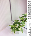 浴室檯面上擺放著一盆斑葉植物。 139335506