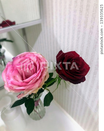 A single pink and red rose in a vase A single pink and red rose in a vase 139335625
