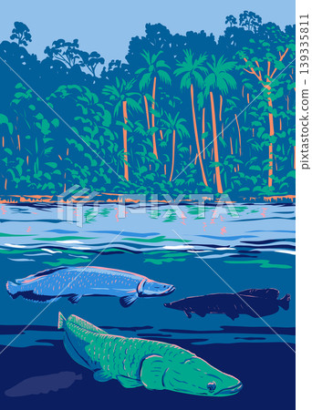 Arapaima in the Amazon River or Rio Amazonas in South America WPA Poster Art Arapaima in the Amazon River or Rio Amazonas in South America WPA Poster Art 139335811