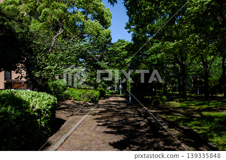 春日公園裡,陽光透過樹木灑下斑駁的光影。 春日公園裡,陽光透過樹木灑下斑駁的光影。 139335848