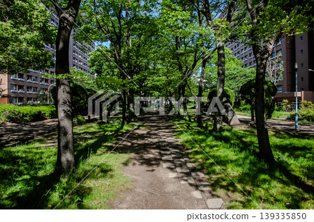 春日公園裡,陽光透過樹木灑下斑駁的光影。 春日公園裡,陽光透過樹木灑下斑駁的光影。 139335850