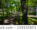 春日公園裡，陽光透過樹木灑下斑駁的光影。 139335853