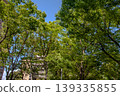 春天公園 139335855