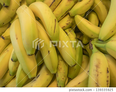 Fresh ripe yellow bananas pile at farmers market, tropical fruit display Fresh ripe yellow bananas pile at farmers market, tropical fruit display 139335925