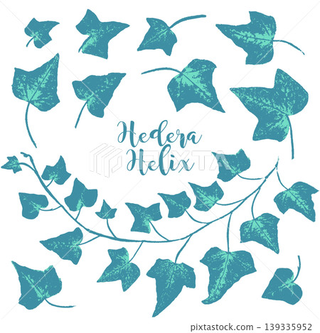 A stamp-like silhouette of ivy, created using the frottage technique. A stamp-like silhouette of ivy, created using the frottage technique. 139335952
