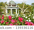Rose garden in the park 139336116