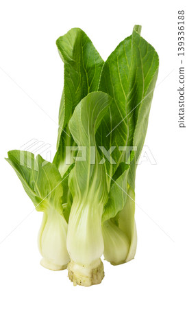 Organic Pak Choi or Chinese cabbage, fresh green vegetable for healthy cooking. Organic Pak Choi or Chinese cabbage, fresh green vegetable for healthy cooking. 139336188