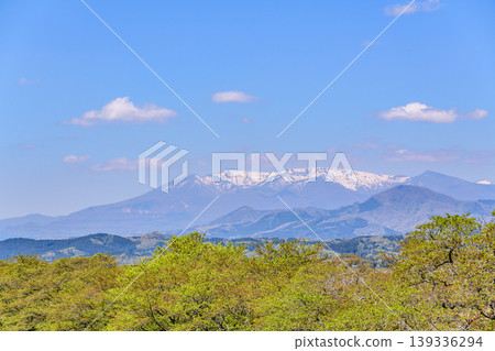 The fresh green leaves of Shiraishi River, the lingering snow of Zao, and the blue sky. 139336294