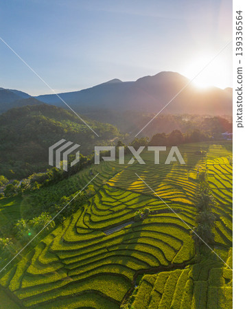 Beautiful morning view in Indonesia, panoramic landscape of rice fields with mountain ranges and clear sky Beautiful morning view in Indonesia, panoramic landscape of rice fields with mountain ranges and clear sky 139336564