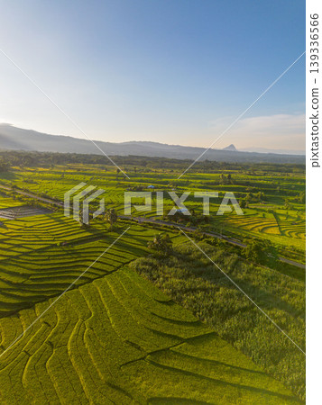 Beautiful morning view in Indonesia, panoramic landscape of rice fields with mountain ranges and clear sky 139336566