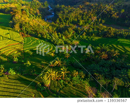 Beautiful morning view in Indonesia, panoramic landscape of rice fields with mountain ranges and clear sky 139336567