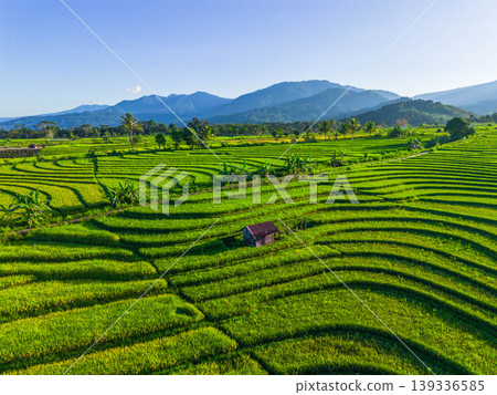 Beautiful morning view in Indonesia, panoramic landscape of rice fields with mountain ranges and clear sky Beautiful morning view in Indonesia, panoramic landscape of rice fields with mountain ranges and clear sky 139336585