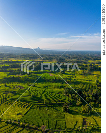 Beautiful morning view in Indonesia, panoramic landscape of rice fields with mountain ranges and clear sky Beautiful morning view in Indonesia, panoramic landscape of rice fields with mountain ranges and clear sky 139336590
