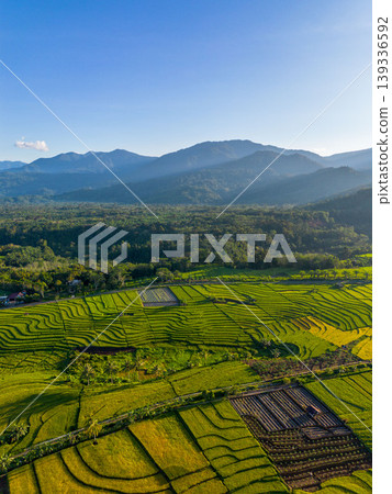 Beautiful morning view in Indonesia, panoramic landscape of rice fields with mountain ranges and clear sky Beautiful morning view in Indonesia, panoramic landscape of rice fields with mountain ranges and clear sky 139336592