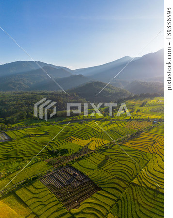Beautiful morning view in Indonesia, panoramic landscape of rice fields with mountain ranges and clear sky Beautiful morning view in Indonesia, panoramic landscape of rice fields with mountain ranges and clear sky 139336593