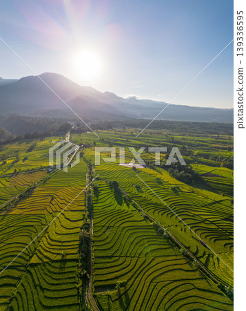 Beautiful morning view in Indonesia, panoramic landscape of rice fields with mountain ranges and clear sky Beautiful morning view in Indonesia, panoramic landscape of rice fields with mountain ranges and clear sky 139336595