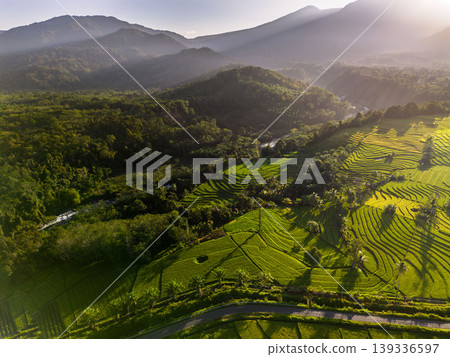 Beautiful morning view in Indonesia, panoramic landscape of rice fields with mountain ranges and clear sky 139336597