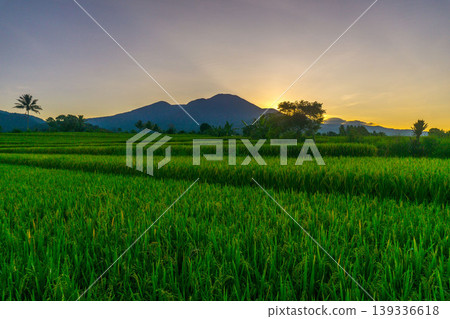 Beautiful morning view in Indonesia, panoramic landscape of rice fields with mountain ranges and clear sky Beautiful morning view in Indonesia, panoramic landscape of rice fields with mountain ranges and clear sky 139336618