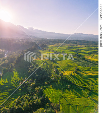 Beautiful morning view in Indonesia, panoramic landscape of rice fields with mountain ranges and clear sky 139336642