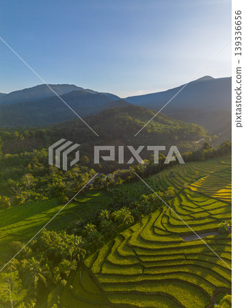 Beautiful morning view in Indonesia, panoramic landscape of rice fields with mountain ranges and clear sky Beautiful morning view in Indonesia, panoramic landscape of rice fields with mountain ranges and clear sky 139336656