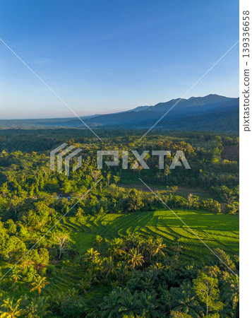 Beautiful morning view in Indonesia, panoramic landscape of rice fields with mountain ranges and clear sky Beautiful morning view in Indonesia, panoramic landscape of rice fields with mountain ranges and clear sky 139336658