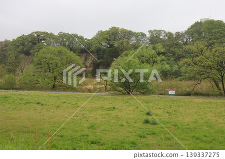 雨中的廣瀨川河床景色。 雨中的廣瀨川河床景色。 139337275