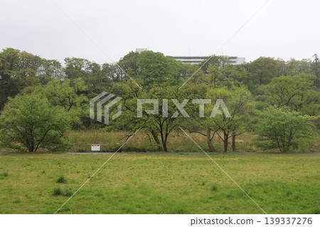 雨中的廣瀨川河床景色。 雨中的廣瀨川河床景色。 139337276